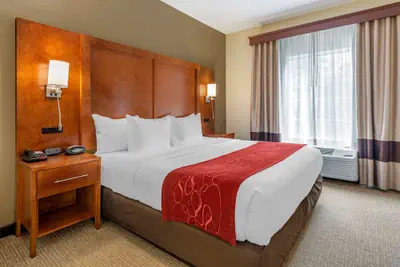 Photo 5 - Comfort Suites Newark - Harrison
