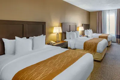 Photo 5 - Comfort Inn Evanston I-80