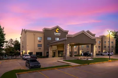 Photo 2 - Comfort Inn & Suites Covington - Mandeville