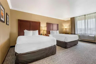 Photo 5 - Comfort Inn & Suites Redwood Country