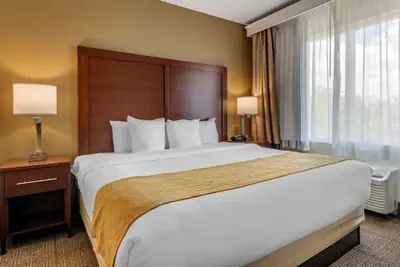 Photo 5 - Comfort Suites Tamarac Sawgrass