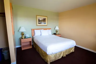 Photo 3 - Tulip Inn