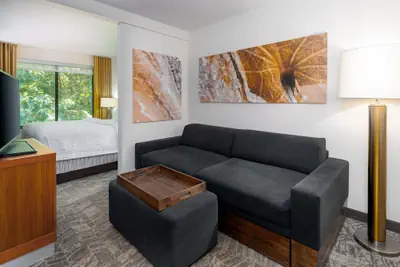 Photo 2 - SpringHill Suites by Marriott Asheville