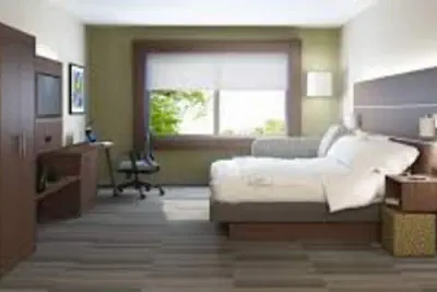 Photo 3 - Holiday Inn Express & Suites Atlanta - Tucker Northlake by IHG