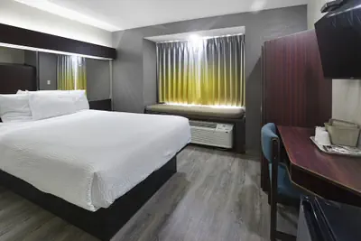 Photo 5 - Microtel Inn & Suites by Wyndham Meridian