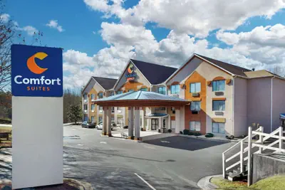 Photo 2 - Comfort Suites Northside Hospital Gwinnett