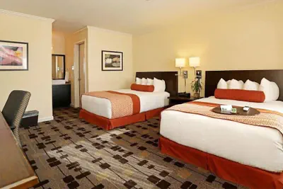 Photo 2 - The Zen Hotel Palo Alto