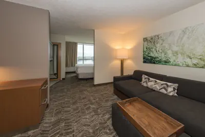 Photo 5 - SpringHill Suites by Marriott Miami Airport South Blue Lagoon Area