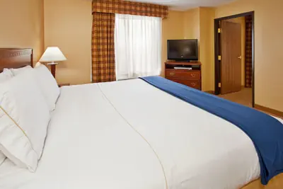 Photo 4 - Holiday Inn Express & Suites St. Louis West - Fenton by IHG