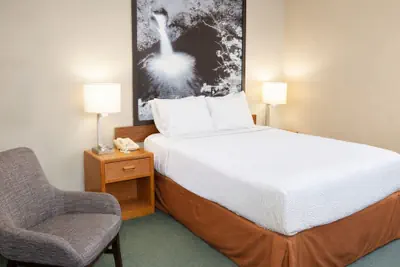 Photo 5 - Super 8 by Wyndham Antigo