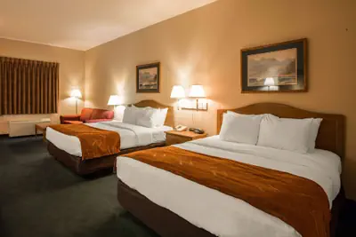 Photo 4 - Super 8 by Wyndham Cherokee