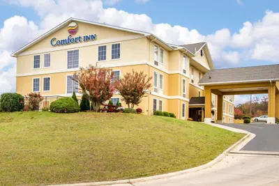 Photo 2 - Comfort Inn Poplar Bluff North