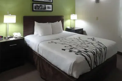 Photo 3 - Sleep Inn & Suites Columbus - State University Area