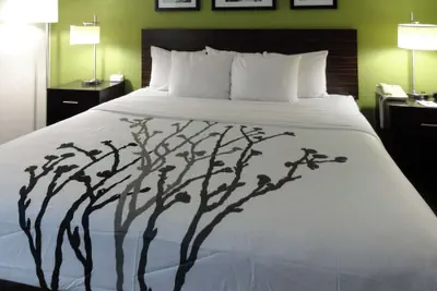 Photo 2 - Sleep Inn & Suites Columbus - State University Area