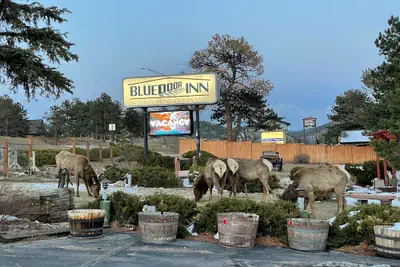 Photo 2 - Blue Door Inn