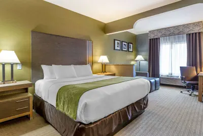 Photo 5 - Comfort Suites Southgate-Detroit
