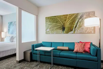 Photo 4 - SpringHill Suites by Marriott Chicago Schaumburg/Woodfield