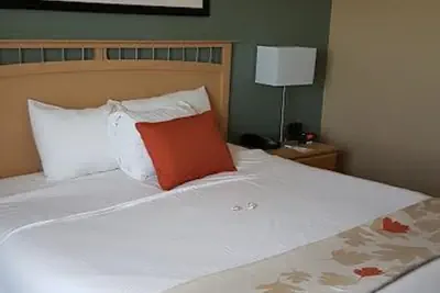Photo 5 - Hawthorn Extended Stay by Wyndham Corpus Christi