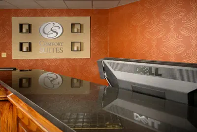 Photo 3 - Comfort Suites Dulles Airport