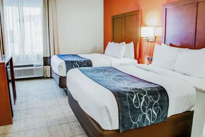 Photo 5 - Comfort Suites Tyler South