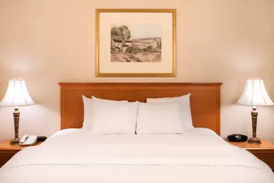Photo 5 - Hampton Inn & Suites Addison