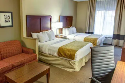 Photo 5 - Comfort Suites Gadsden Attalla