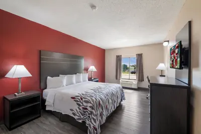 Photo 2 - Red Roof Inn & Suites Austin East - Manor