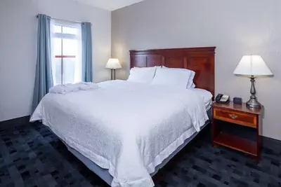 Photo 5 - Hampton Inn Lawrenceville Duluth