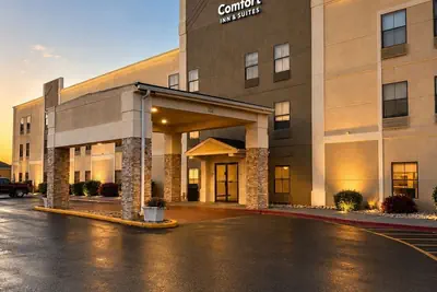 Photo 2 - Comfort Inn & Suites Harvey - Chicago Southland