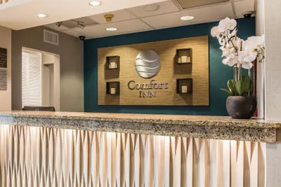 Photo 5 - Comfort Inn South - Springfield