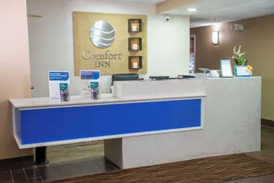 Photo 4 - Comfort Inn Dickson