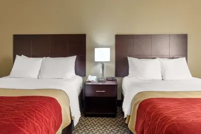 Photo 4 - Comfort Inn Horn Lake - Southhaven