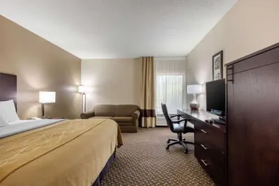 Photo 5 - Comfort Inn Horn Lake - Southhaven