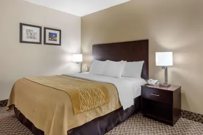Photo 3 - Comfort Inn Horn Lake - Southhaven