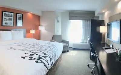 Photo 5 - Sleep Inn Clearwater - St Petersburg