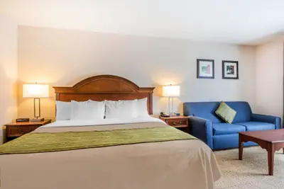 Photo 5 - Comfort Inn & Suites South Burlington near University