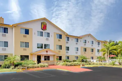 Photo 2 - Super 8 by Wyndham Clearwater/St. Petersburg Airport