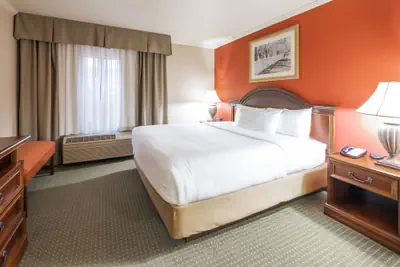 Photo 5 - The Elms Hotel