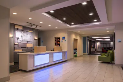Photo 3 - Holiday Inn Express Hotel & Suites Tampa-Anderson Rd/Veteran by IHG