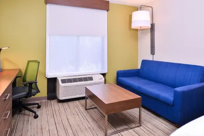 Photo 4 - Holiday Inn Express Hotel & Suites Tampa-Anderson Rd/Veteran by IHG