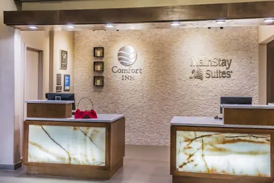 Photo 3 - Comfort Inn Edinburg South