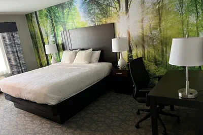 Photo 5 - Spark by Hilton Freeport