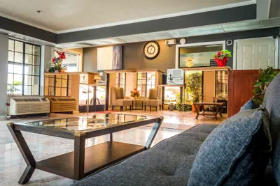 Photo 2 - Executive Inn and Suites