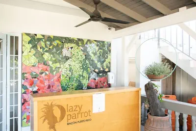 Photo 3 - Lazy Parrot Inn