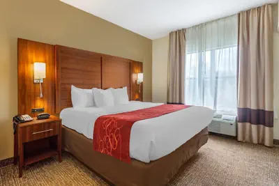 Photo 4 - Comfort Suites Southaven - Memphis South