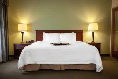 Photo 5 - Hampton Inn & Suites Springfield-Southwest