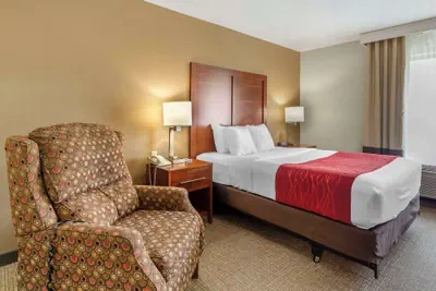Photo 5 - Comfort Inn & Suites Rapid City South - Mt. Rushmore Gateway
