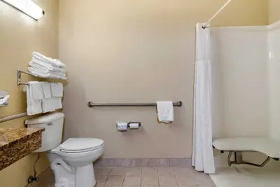 Photo 5 - Comfort Inn & Suites Suwanee - Sugarloaf