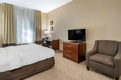 Photo 5 - Comfort Inn & Suites St. Louis - O'Fallon