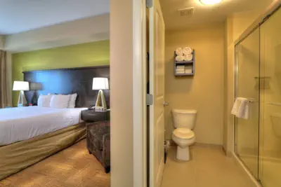 Photo 5 - Staybridge Suites Knoxville-West by IHG